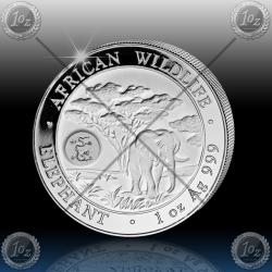 1oz SOMALIJA 2012 Privy (Year of the Dragon)